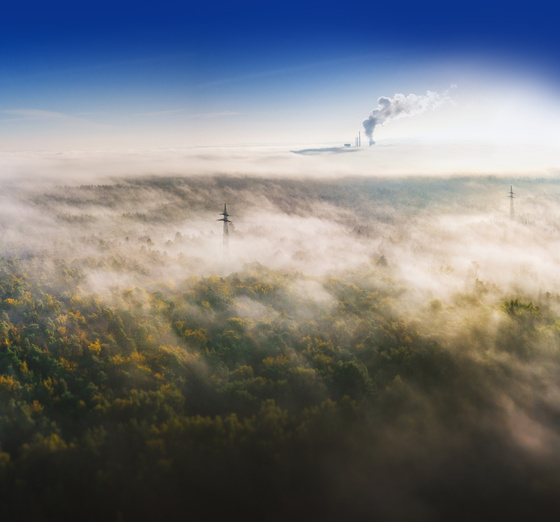 Slash your project's CO2 impact
